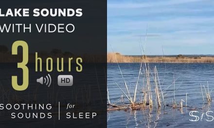 Calm Lake Sounds With 4k Video | 3 Hours | Soothing Sounds