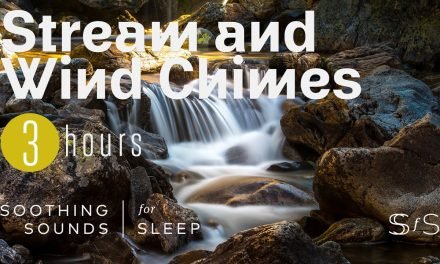 Calming Stream and Wind Chimes | Black Screen | 3 Hours | Relax | Soothing Sounds for Sleep