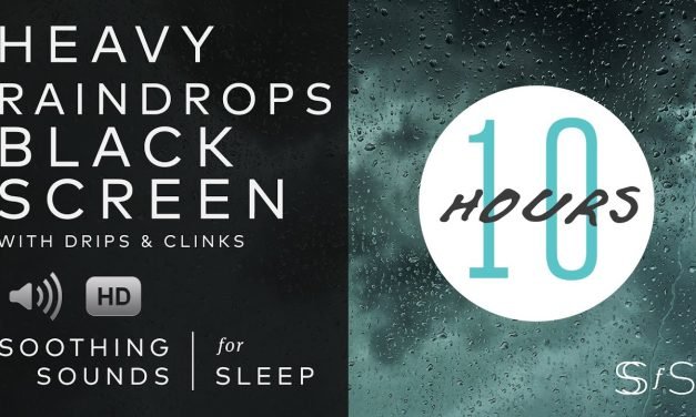 Heavy Raindrops | Black Screen | 10 Hours | Soothing Sounds for Sleep