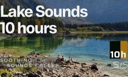 Lake Sounds | Soothing Sounds | 10 Hours | for Sleep or Study