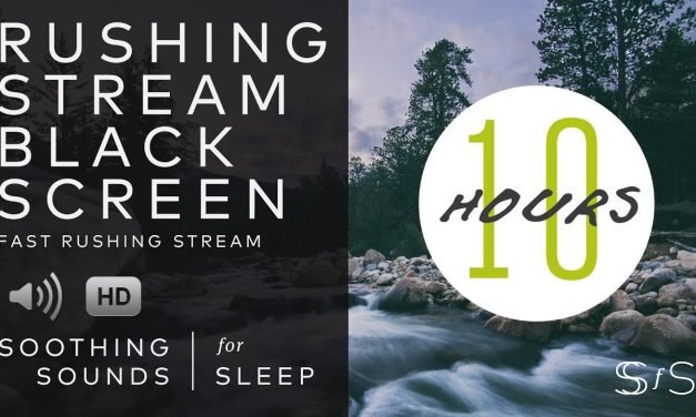Rushing Stream | Black Screen | 10 Hours | Soothing Sounds for Sleep