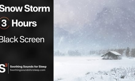 Snow Storm | Snow and Wind | Black Screen | 3 Hours | Relax | Soothing Sounds for Sleep