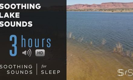 Soothing Lake Sounds for 3 Hours with 4k Video