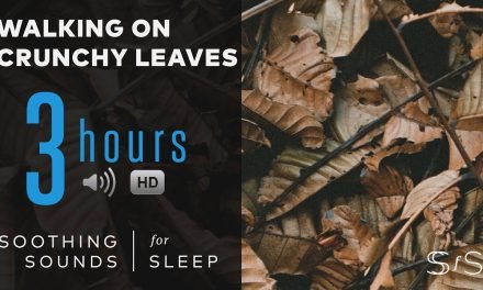 Walking on Crunchy, Dead Leaves & Twigs | 3 Hours | ASMR | Soothing Sounds for Sleep