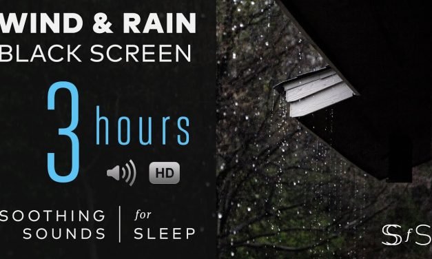 3 Hours of Wind and Rain | Black Screen