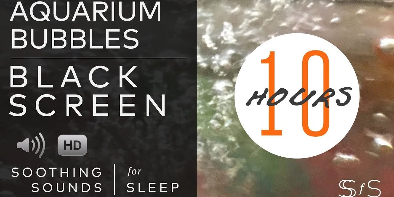 Aquarium Bubbles | Black Screen | 10 Hours | Soothing Sounds for Sleep