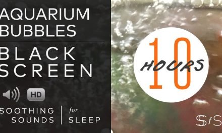 Aquarium Bubbles | Black Screen | 10 Hours | Soothing Sounds for Sleep