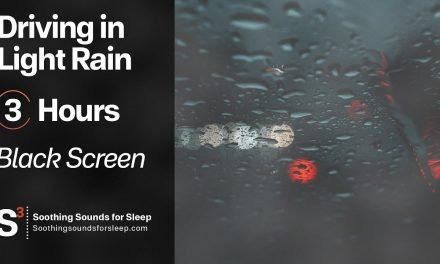 Car Driving in Light Rain | 3 Hours | Black Screen | Soothing Sounds, Relax, Study, Calming