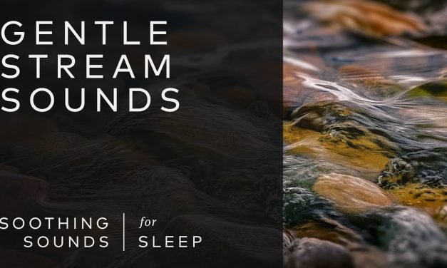 Gentle Stream Sounds – 3 Hours