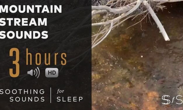 Mountain Stream – Calm, Soothing Rushing Water – 3 Hours – 4k Video