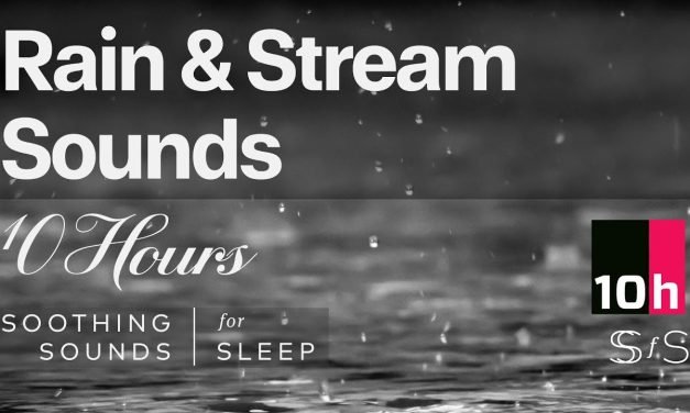 Rain & Stream Sound | 10 hours | Black Screen