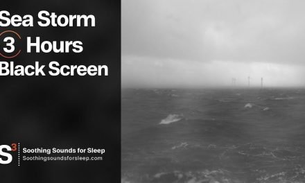 Sea Storm | Black Screen | 3 Hours | Rough Seas | Soothing Sounds for Sleep