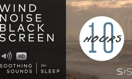 Wind Sound | Black Screen | 10 Hours | Soothing Sounds for Sleep