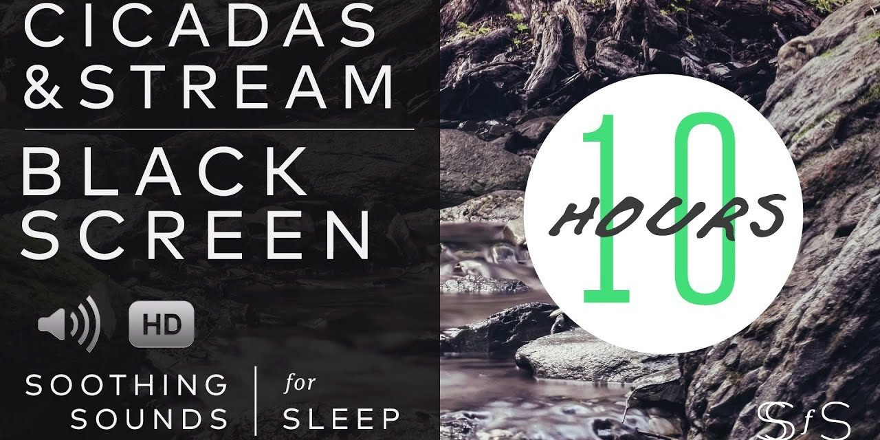 Cicadas & Stream | Black Screen | 10 Hours | Soothing Sounds for Sleep