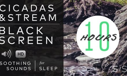 Cicadas & Stream | Black Screen | 10 Hours | Soothing Sounds for Sleep