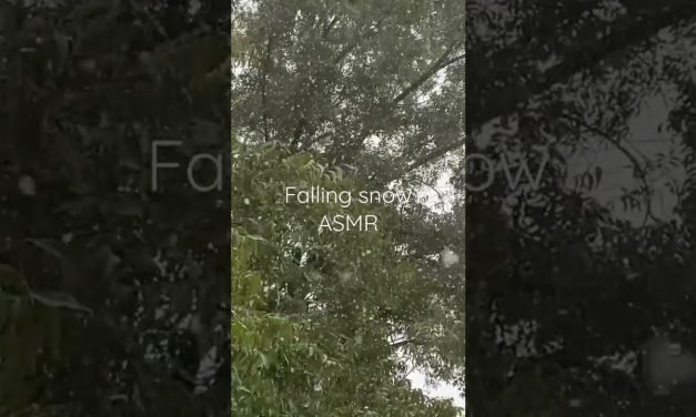 Falling snow ASMR #soothingsounds  #asmr