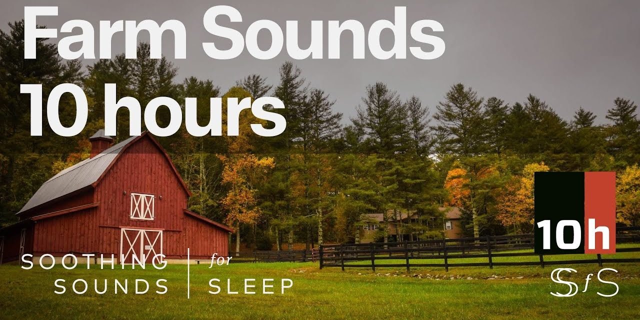 Farm Sounds | 10 hours | Dark Screen | Soothing Ambient Sound