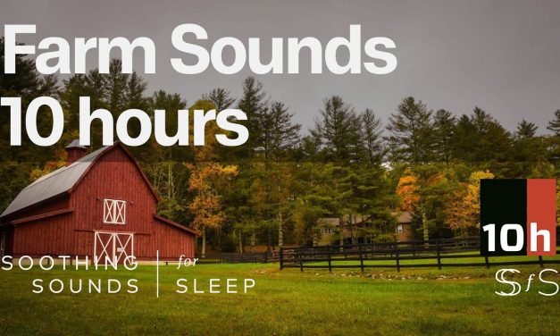 Farm Sounds | 10 hours | Dark Screen | Soothing Ambient Sound