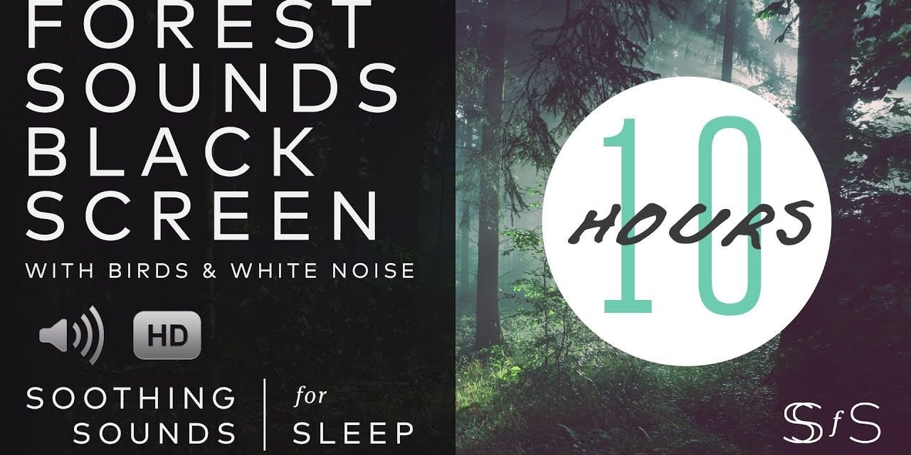 Forest Sound | Black Screen | 10 Hours | Soothing Sounds for Sleep