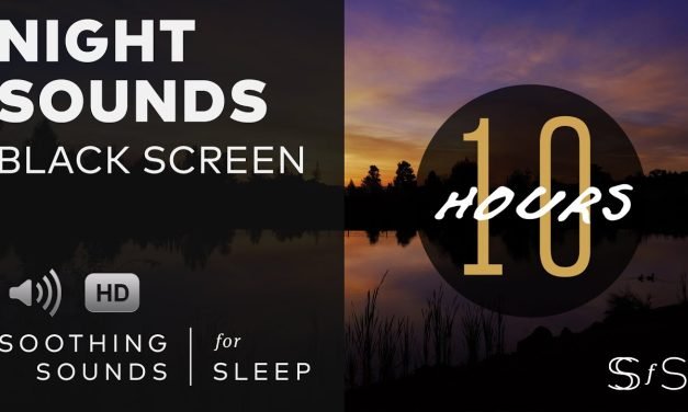 Relaxing Night Nature Sounds | 10 Hours | Black Screen | Relax | Sleep