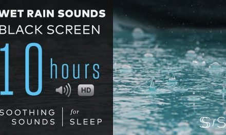 Relaxing Rain Sound | 10 Hours
