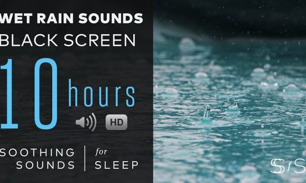 Relaxing Rain Sound | 10 Hours