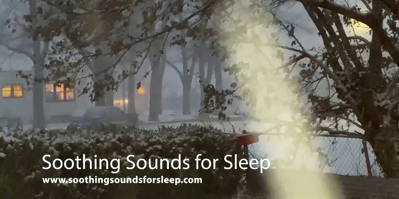 Snow Storm and Wind Sound with Video