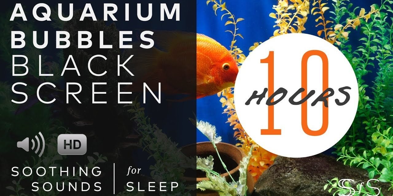 Aquarium Sounds | 10 Hours | Black Screen | Relax | Sleep