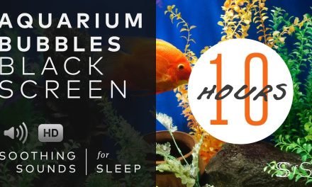 Aquarium Sounds | 10 Hours | Black Screen | Relax | Sleep