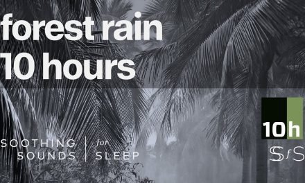 Forest Rain | 10 hours | Black Screen | Relax | Sleep | Study Sounds