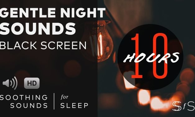 Gentle Night Sounds | 10 Hours | Black Screen | Relax | Sleep