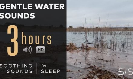 Gentle Water Sounds w 4k Video | 3 Hours | ASMR | Soothing Sounds for Sleep