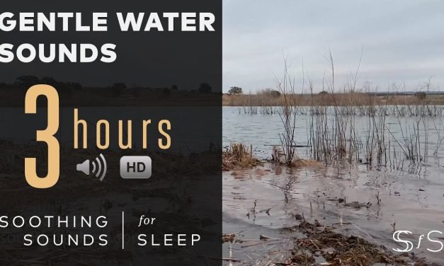 Gentle Water Sounds w 4k Video | 3 Hours | ASMR | Soothing Sounds for Sleep