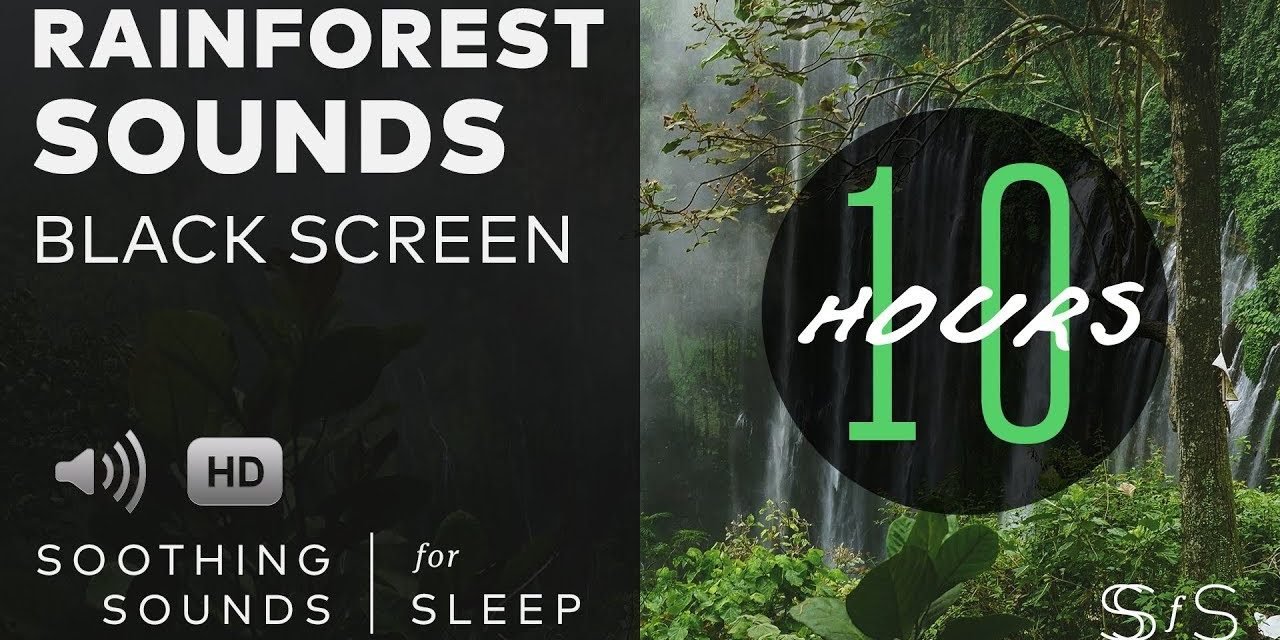 Rainforest Sounds  | 10 hours  | relax sleep  | soothing sounds