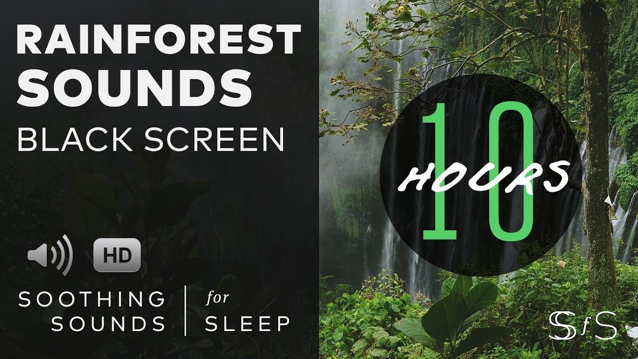 Rainforest Sounds | 10 hours | relax sleep | soothing sounds - Soothing ...