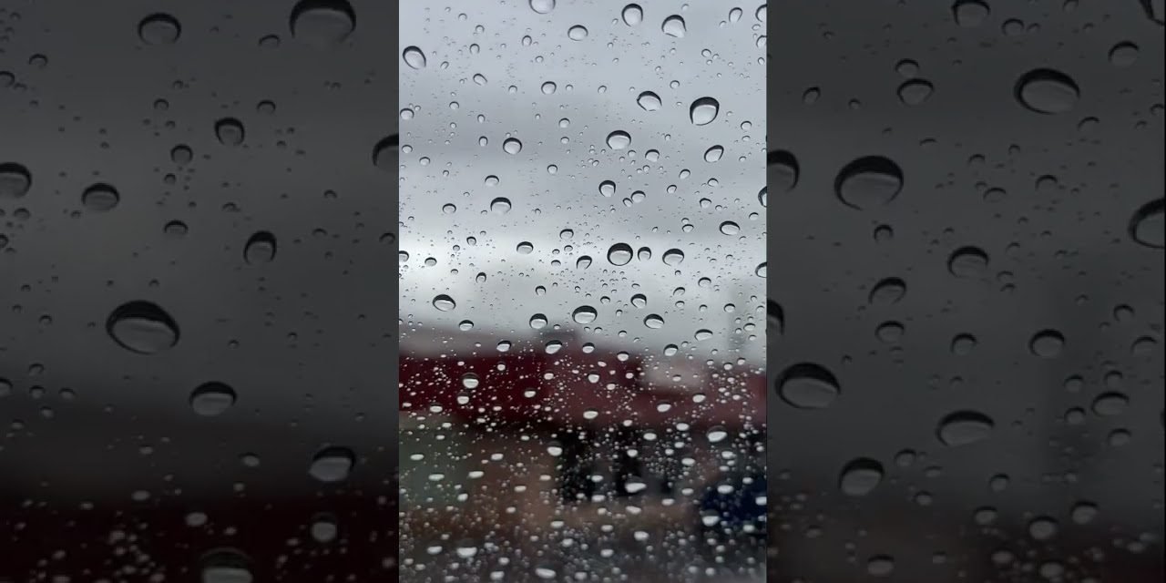 Driving in the rain