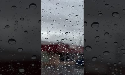 Driving in the rain