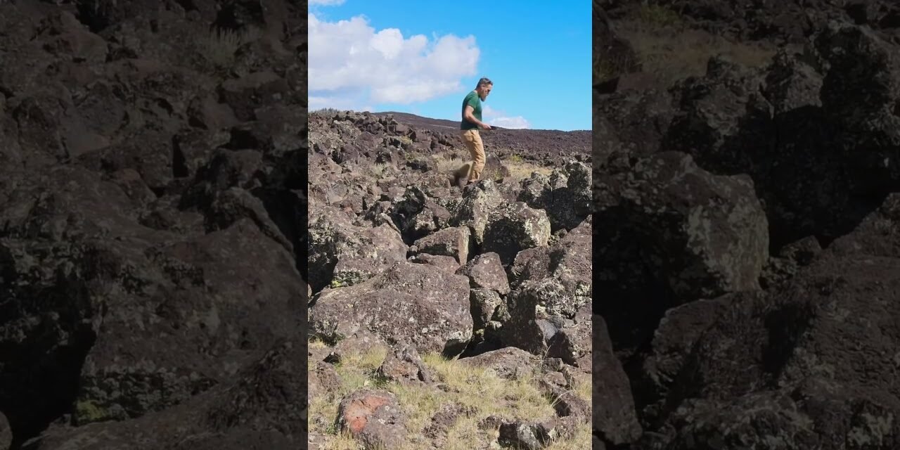 Lichen on Lava Flows is beautiful!