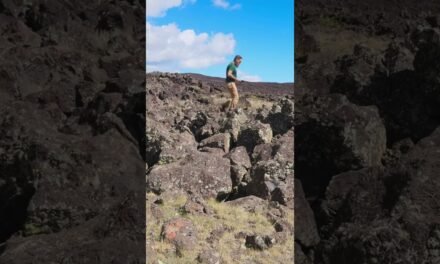 Lichen on Lava Flows is beautiful!